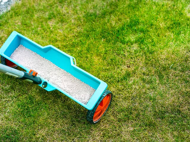 Lawn fertilization