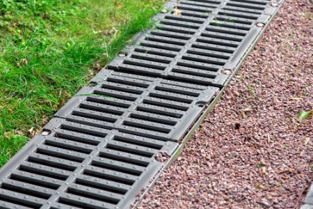 Why Proper Drainage Solutions Are Key to a Healthy Lawn Thumbnail