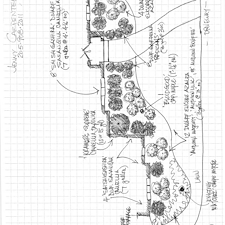 Landscape-Renovation-in-Highland-Lakes 11