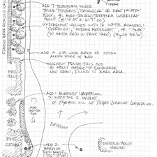 Landscape-Renovation-in-Highland-Lakes 12