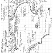 Landscape-Renovation-in-Highland-Lakes 13