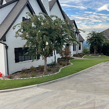 Landscape-Renovation-in-Highland-Lakes 16