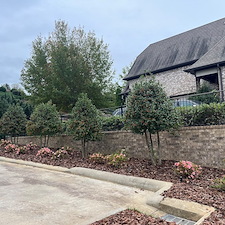 Landscape-Renovation-in-Highland-Lakes 3