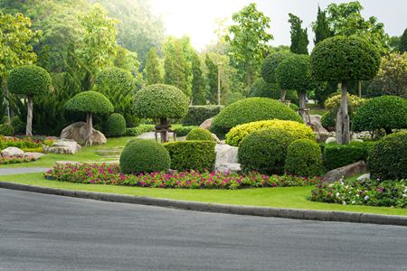 Landscaping Thumbnail