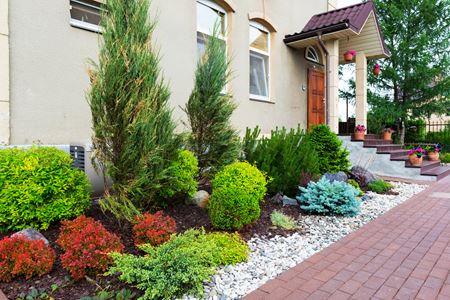 Shrub Installation