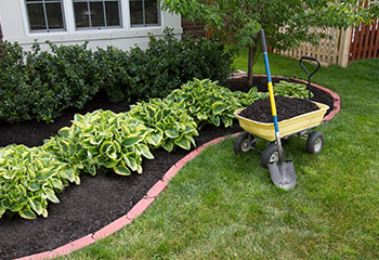 Landscaping